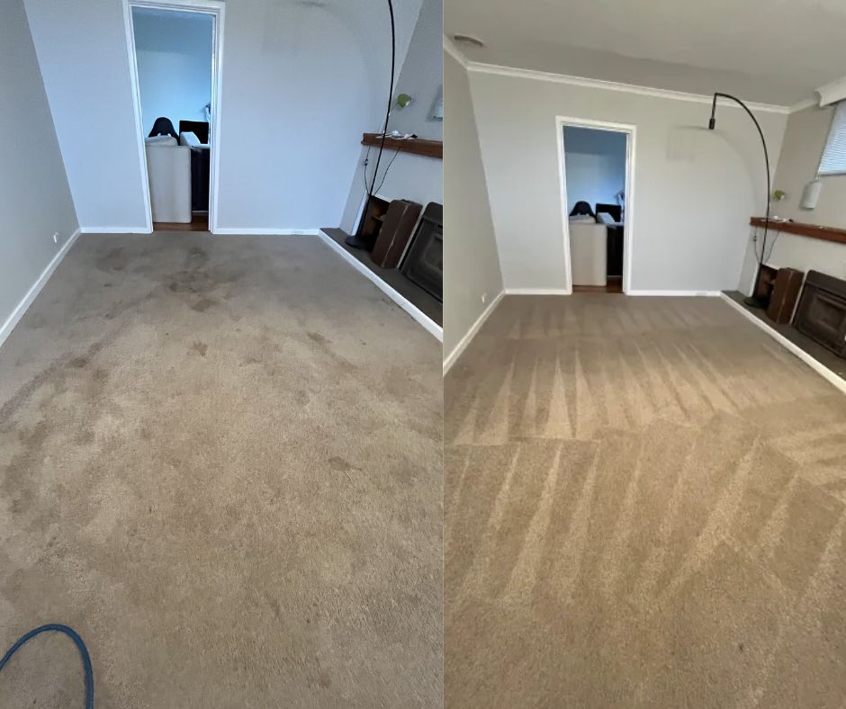 The Benefits of Professional Carpet Steam Cleaning