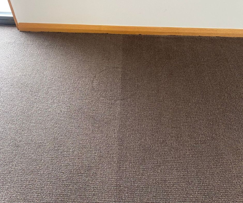 Steam Cleaning vs. Dry Cleaning: Which is Right for Your Carpets?