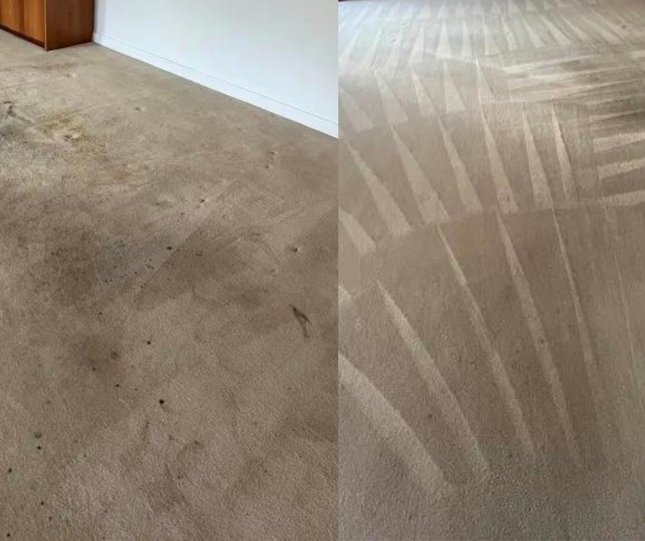 The Impact of Regular Rug Cleaning on Indoor Air Quality in Hobart