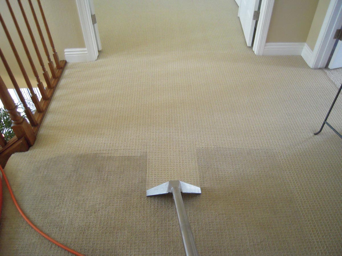 How to Prepare Your Business for Professional Carpet Cleaning